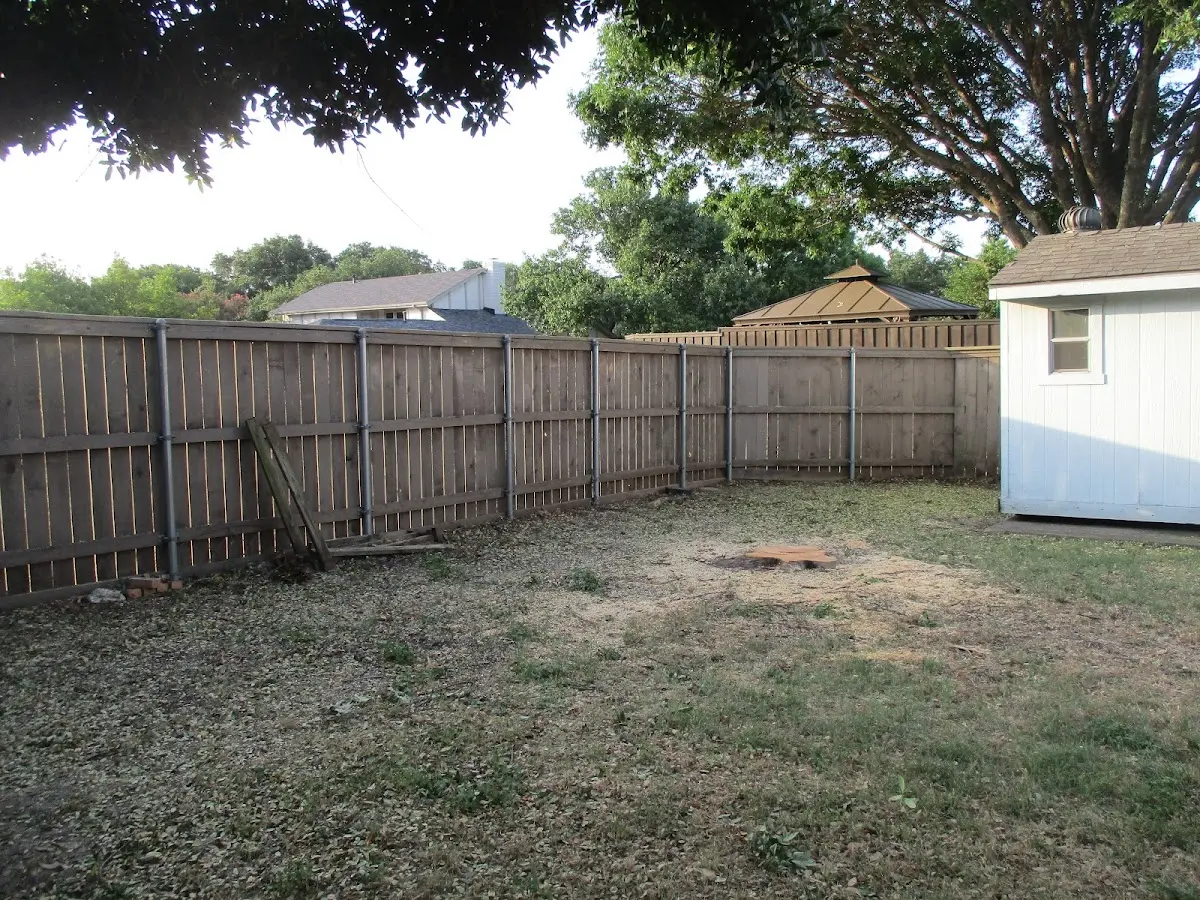 Cleared yard after professional tree removal in Dry Run