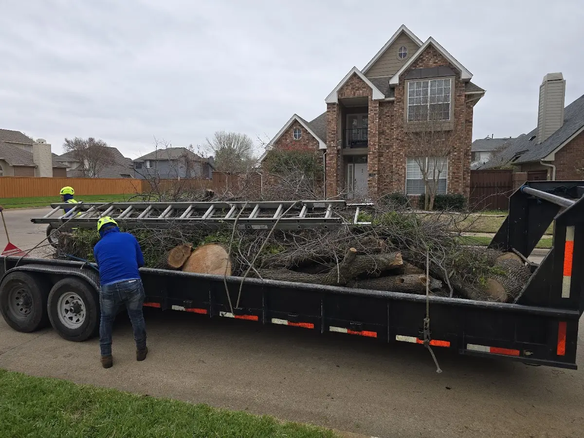 Expert Lot Clearing with proper safety equipment in Dry Run